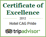 certificate_excellence1