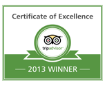 certificate_excellence2